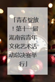 青春绽放！第十一届湖南省青年文化艺术活动总决赛举行