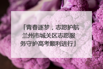 青春逐梦，志愿护航 兰州市城关区志愿服务守护高考顺利进行