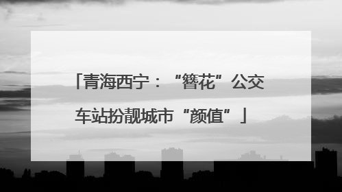 青海西宁：“簪花”公交车站扮靓城市“颜值”