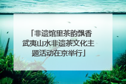 非遗馆里茶韵飘香 武夷山水非遗茶文化主题活动在京举行