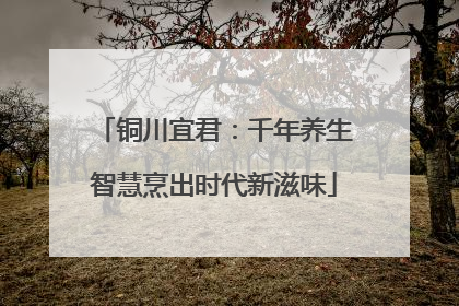 铜川宜君：千年养生智慧烹出时代新滋味