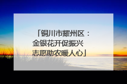 铜川市耀州区：金银花开促振兴 志愿助农暖人心
