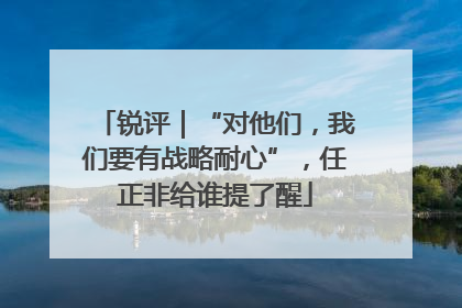 锐评｜“对他们，我们要有战略耐心”，任正非给谁提了醒