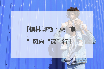 锡林郭勒：乘“新”风向“绿”行