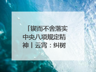锲而不舍落实中央八项规定精神丨云霄：纠树并举扬正气 作风建设谱新章