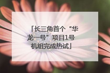 长三角首个“华龙一号”项目1号机组完成热试