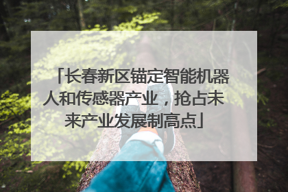 长春新区锚定智能机器人和传感器产业，抢占未来产业发展制高点