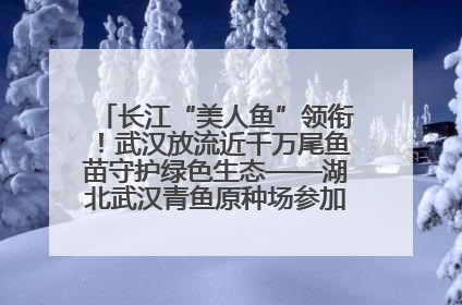 长江“美人鱼”领衔！武汉放流近千万尾鱼苗守护绿色生态——湖北武汉青鱼原种场参加2025年“全国放鱼日”增殖放流活动