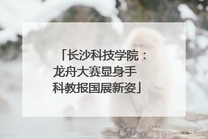 长沙科技学院：龙舟大赛显身手 科教报国展新姿