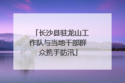 长沙县驻龙山工作队与当地干部群众携手防汛