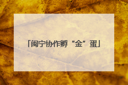 闽宁协作孵“金”蛋