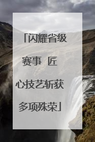 闪耀省级赛事  匠心技艺斩获多项殊荣