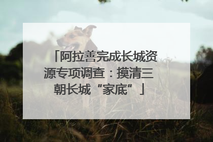 阿拉善完成长城资源专项调查：摸清三朝长城“家底”
