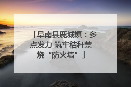 阜南县鹿城镇：多点发力 筑牢秸秆禁烧“防火墙”