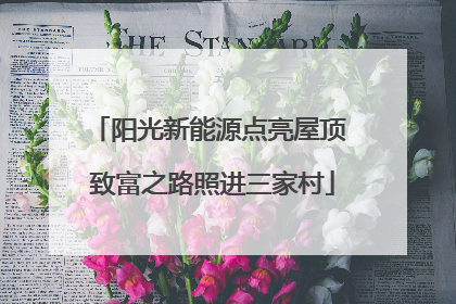 阳光新能源点亮屋顶 致富之路照进三家村