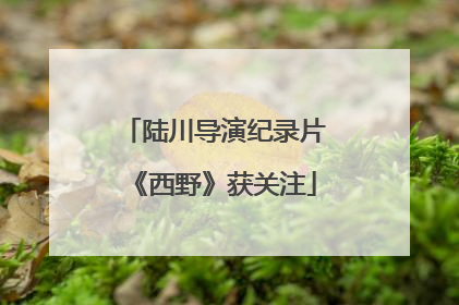陆川导演纪录片《西野》获关注