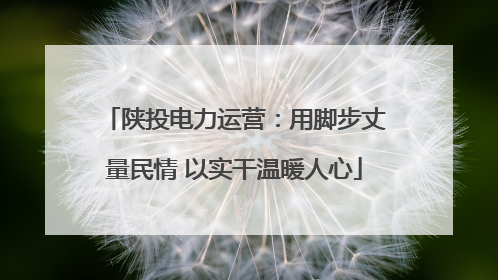 陕投电力运营：用脚步丈量民情 以实干温暖人心