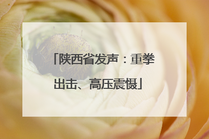 陕西省发声：重拳出击、高压震慑