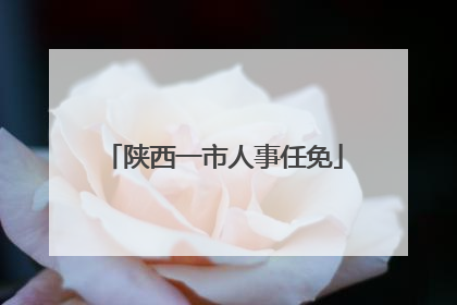陕西一市人事任免