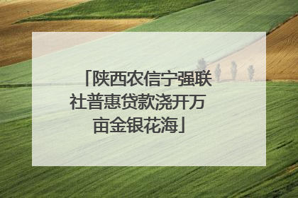 陕西农信宁强联社普惠贷款浇开万亩金银花海