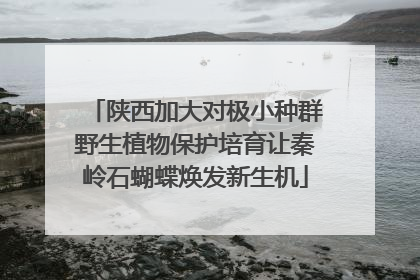 陕西加大对极小种群野生植物保护培育让秦岭石蝴蝶焕发新生机