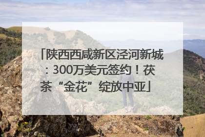 陕西西咸新区泾河新城：300万美元签约！茯茶“金花”绽放中亚