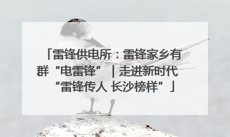 雷锋供电所：雷锋家乡有群“电雷锋”｜走进新时代“雷锋传人 长沙榜样”