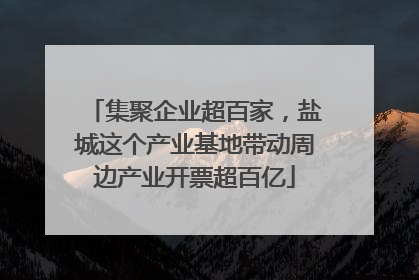 集聚企业超百家，盐城这个产业基地带动周边产业开票超百亿
