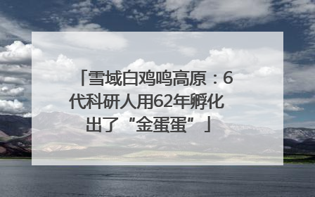 雪域白鸡鸣高原：6代科研人用62年孵化出了“金蛋蛋”
