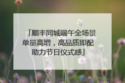 顺丰同城端午全场景单量高增，高品质即配助力节日仪式感