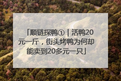 顺链探鸭①｜活鸭20元一斤，街头烤鸭为何却能卖到20多元一只