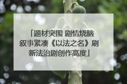 题材突围 剧情烧脑 叙事紧凑《以法之名》刷新法治剧创作高度