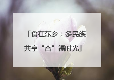 食在东乡：多民族共享“杏”福时光