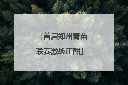 首届郑州青苗联赛激战正酣