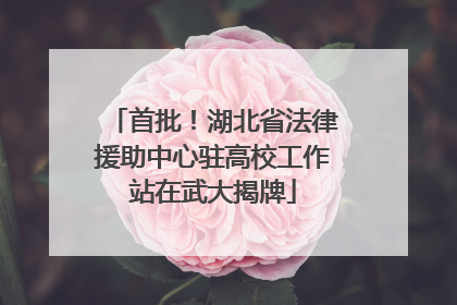 首批！湖北省法律援助中心驻高校工作站在武大揭牌