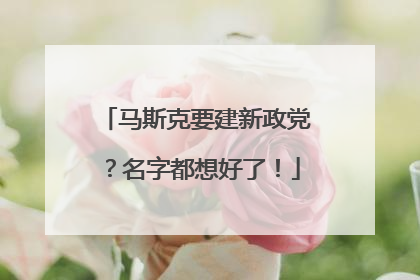 马斯克要建新政党？名字都想好了！