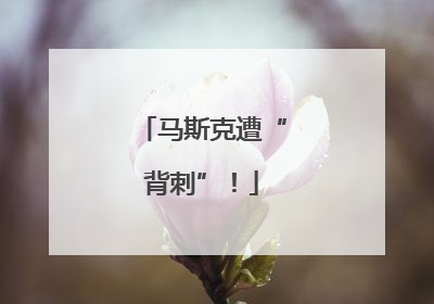 马斯克遭“背刺”！