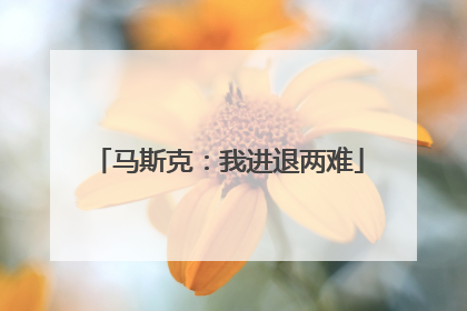 马斯克：我进退两难