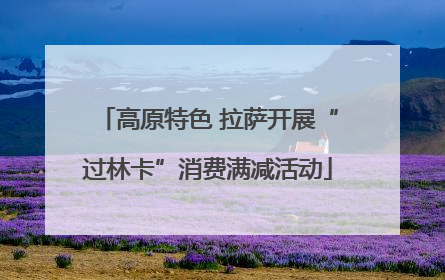 高原特色 拉萨开展“过林卡”消费满减活动