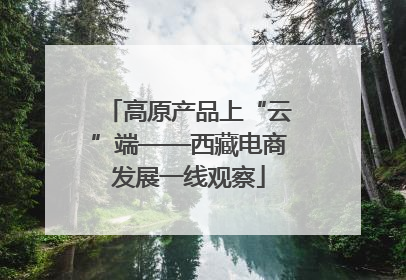 高原产品上“云”端——西藏电商发展一线观察