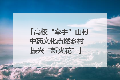 高校“牵手”山村 中药文化点燃乡村振兴“新火花”