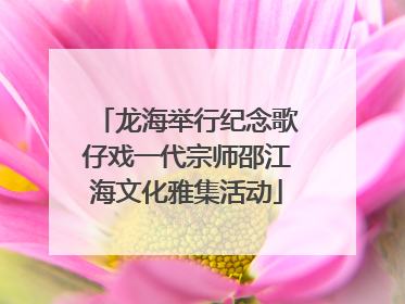 龙海举行纪念歌仔戏一代宗师邵江海文化雅集活动