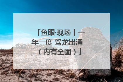 鱼眼·现场丨一年一度 驾龙出涌（内有全图）