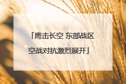 鹰击长空 东部战区空战对抗激烈展开