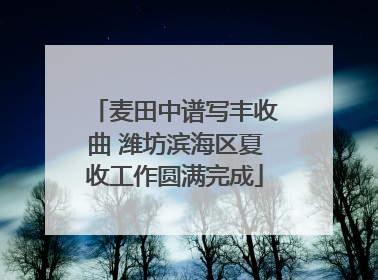 麦田中谱写丰收曲 潍坊滨海区夏收工作圆满完成