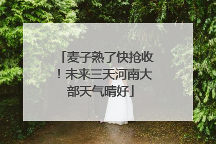 麦子熟了快抢收！未来三天河南大部天气晴好
