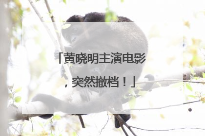 黄晓明主演电影，突然撤档！