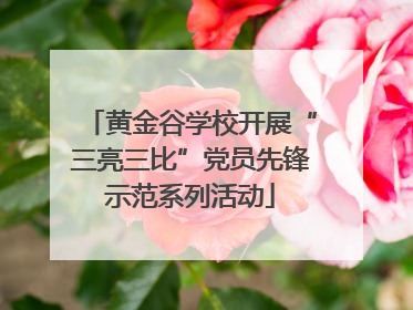 黄金谷学校开展“三亮三比”党员先锋示范系列活动
