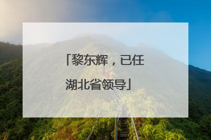 黎东辉，已任湖北省领导