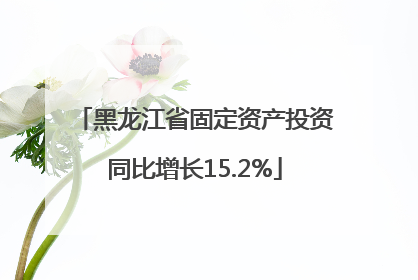 黑龙江省固定资产投资同比增长15.2%